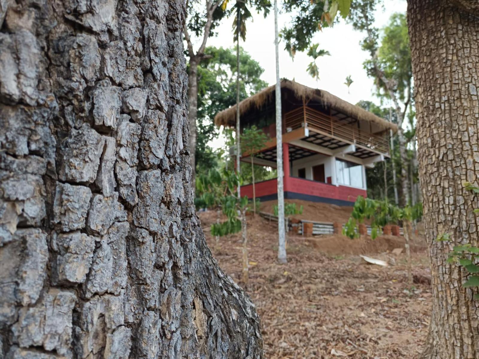Kuruva Shoreline Wayanad Chegat Exterior photo