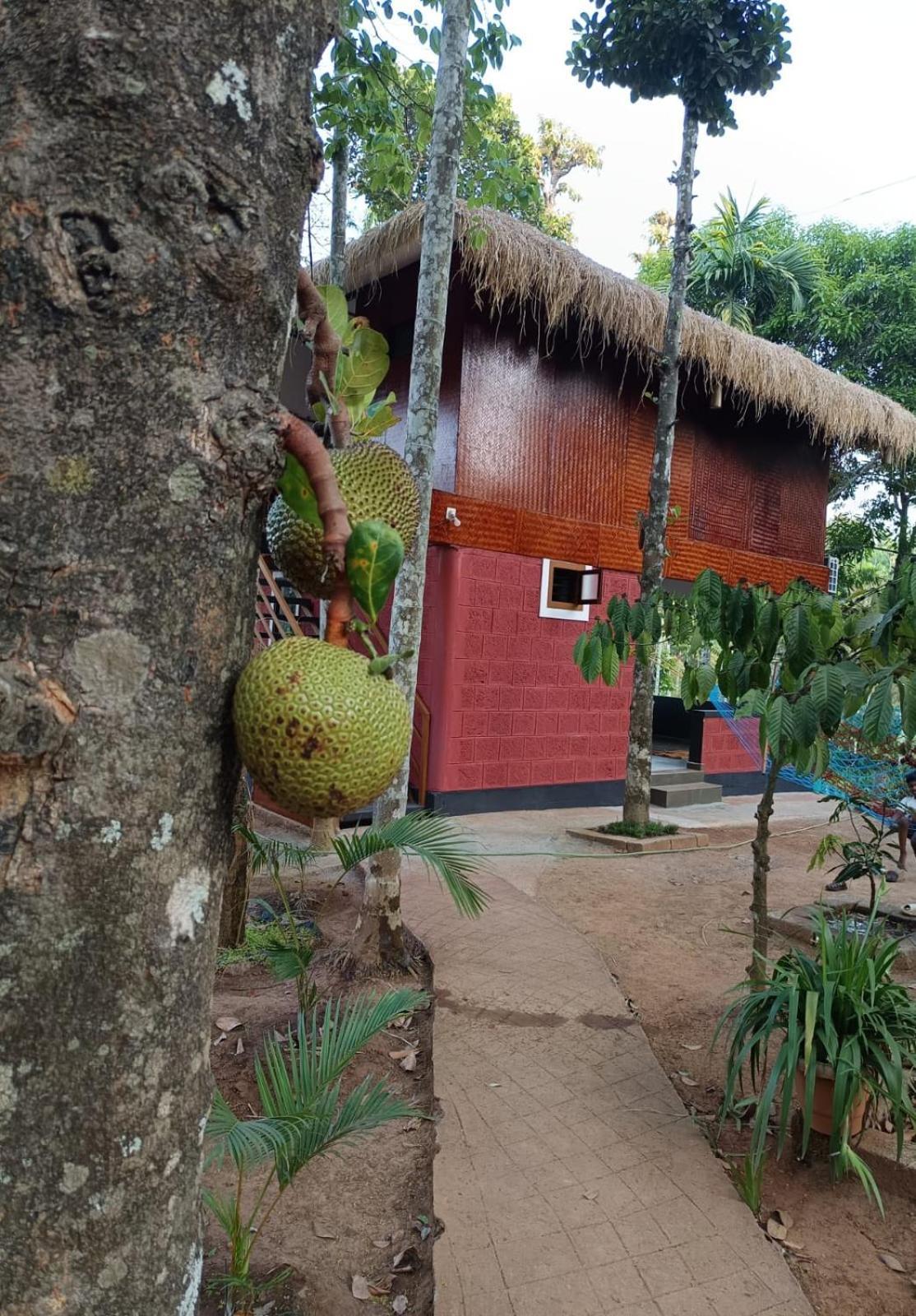 Kuruva Shoreline Wayanad Chegat Exterior photo
