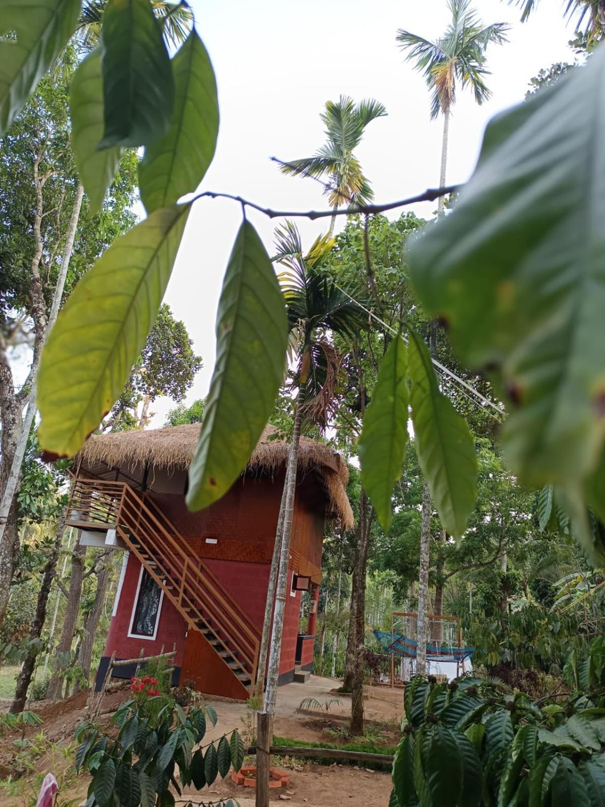 Kuruva Shoreline Wayanad Chegat Exterior photo