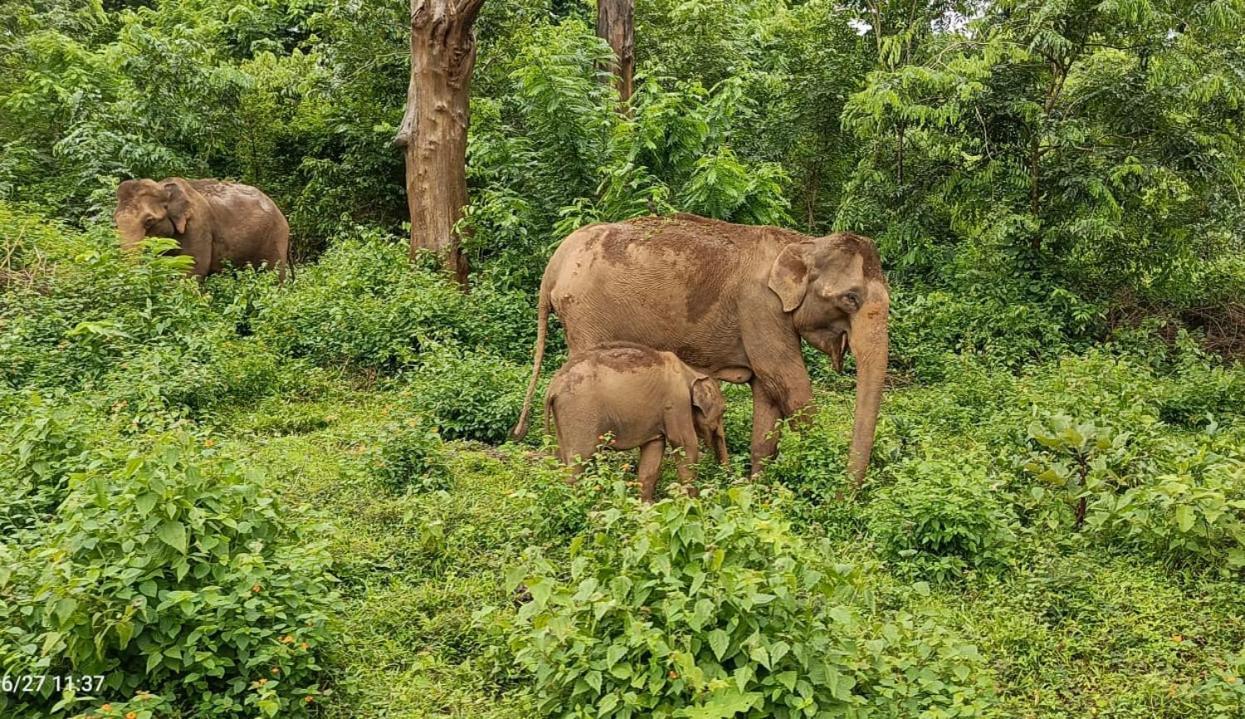 Kuruva Shoreline Wayanad Chegat Exterior photo