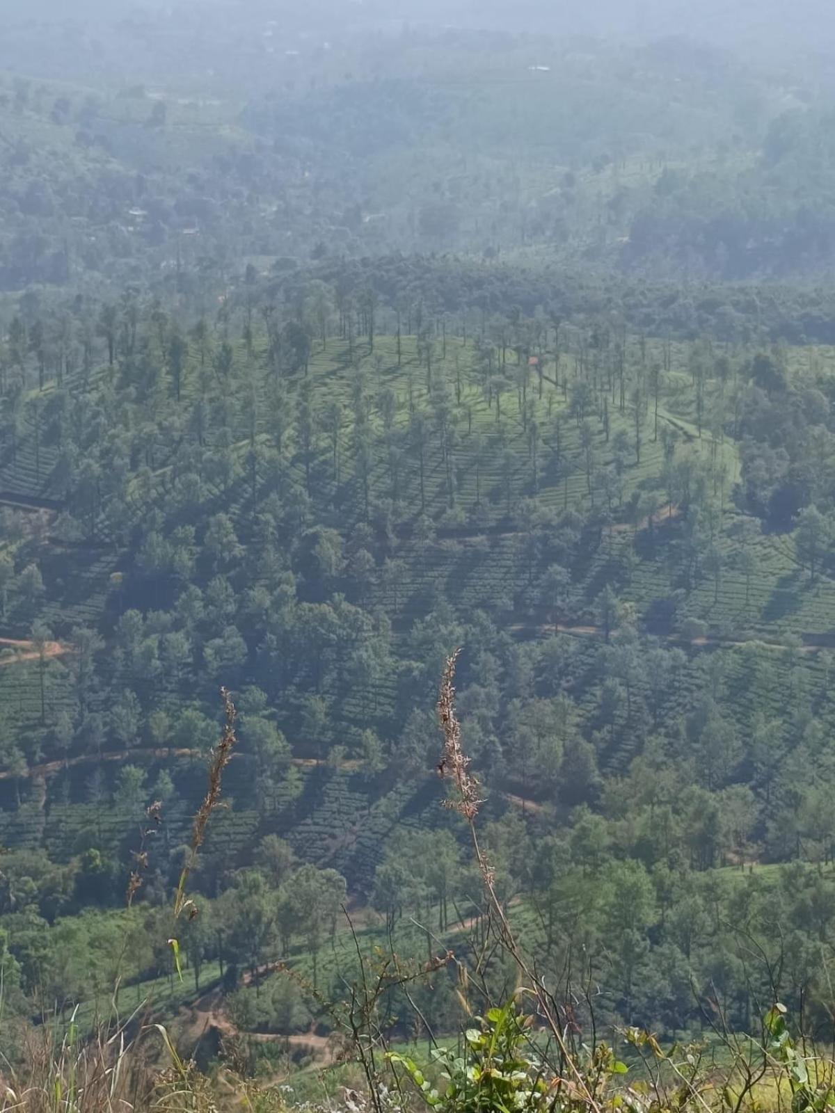 Kuruva Shoreline Wayanad Chegat Exterior photo